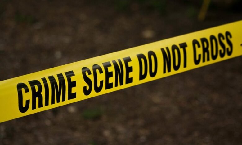 fraud risk investigation council
