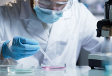 Exploring the Role of HaCaT Cells in Dermatological Research