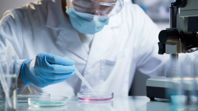 Exploring the Role of HaCaT Cells in Dermatological Research